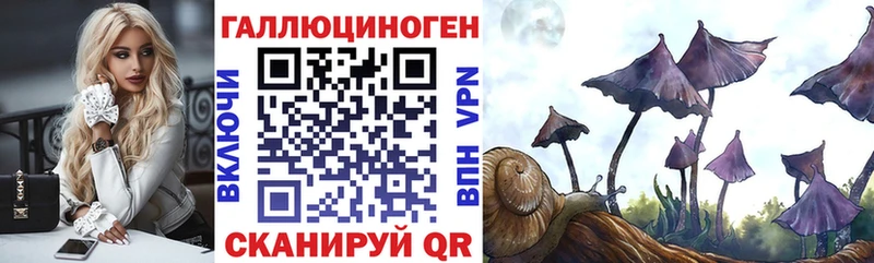 Галлюциногенные грибы Psilocybine cubensis  Могоча 